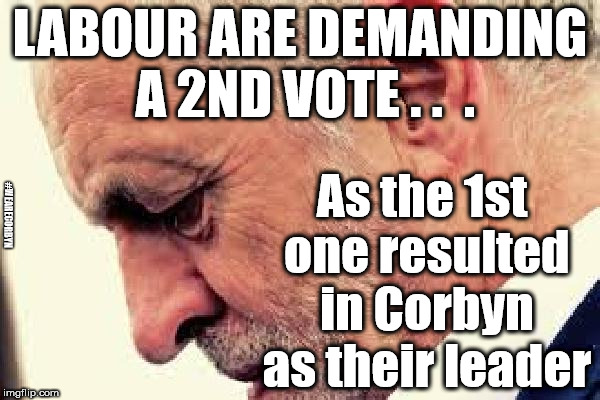 Labour demand 2nd vote | LABOUR ARE DEMANDING A 2ND VOTE . .  . As the 1st one resulted in Corbyn as their leader; #WEARECORBYN | image tagged in corbyn eww,wearecorbyn,labourisdead,weaintcorbyn,communist socialist,momentum students | made w/ Imgflip meme maker
