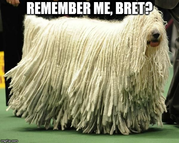 Mop Dog | REMEMBER ME, BRET? | image tagged in mop dog | made w/ Imgflip meme maker