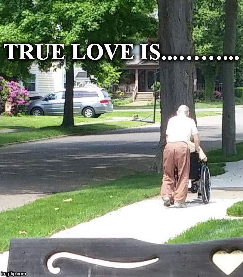 TRUE LOVE IS...……... | image tagged in true  love | made w/ Imgflip meme maker