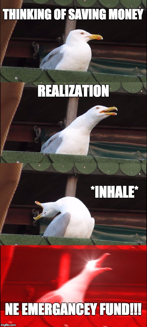 Inhaling Seagull | THINKING OF SAVING MONEY; REALIZATION; *INHALE*; NE EMERGANCEY FUND!!! | image tagged in memes,inhaling seagull | made w/ Imgflip meme maker