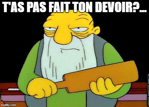 That's a paddlin' | T'AS PAS FAIT TON DEVOIR?... | image tagged in memes,that's a paddlin' | made w/ Imgflip meme maker