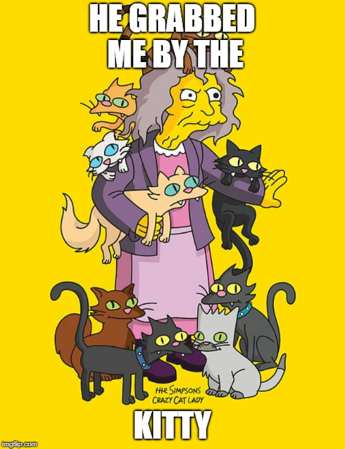Crazy Cat Lady | HE GRABBED ME BY THE KITTY | image tagged in crazy cat lady | made w/ Imgflip meme maker