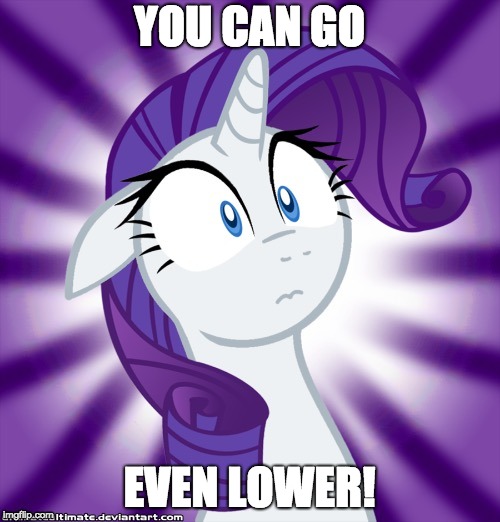 Shocked Rarity | YOU CAN GO EVEN LOWER! | image tagged in shocked rarity | made w/ Imgflip meme maker