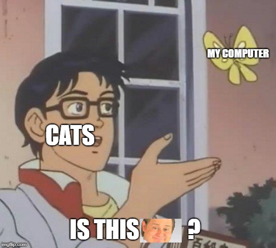 Is it though? | MY COMPUTER; CATS; IS THIS           ? | image tagged in memes,is this a pigeon,it's free real estate | made w/ Imgflip meme maker