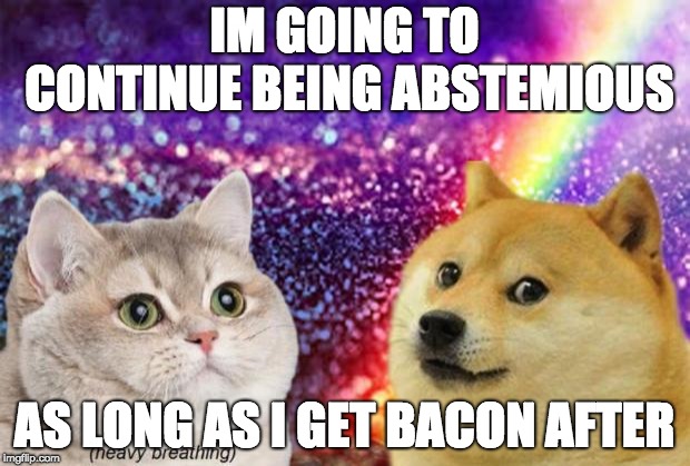 heavy breath cat doge | IM GOING TO CONTINUE BEING ABSTEMIOUS; AS LONG AS I GET BACON AFTER | image tagged in heavy breath cat doge | made w/ Imgflip meme maker