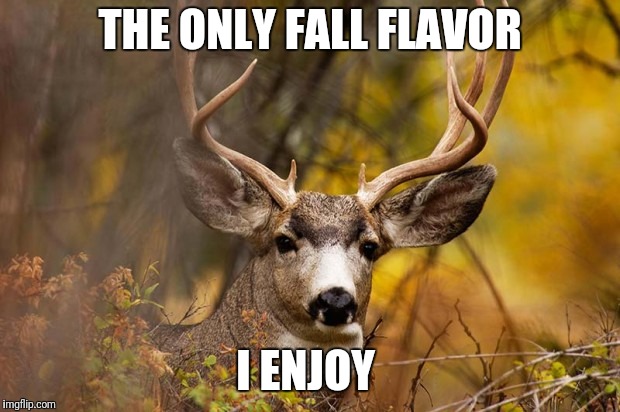 deer meme | THE ONLY FALL FLAVOR; I ENJOY | image tagged in deer meme | made w/ Imgflip meme maker