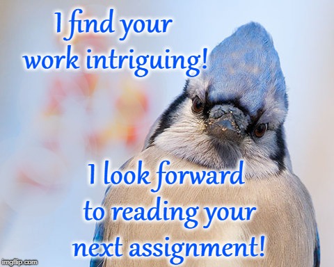 Blue jay | I find your work intriguing! I look forward to reading your next assignment! | image tagged in blue jay | made w/ Imgflip meme maker