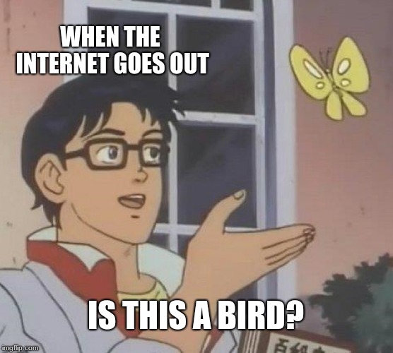 Is This A Pigeon Meme | WHEN THE INTERNET GOES OUT; IS THIS A BIRD? | image tagged in memes,is this a pigeon | made w/ Imgflip meme maker
