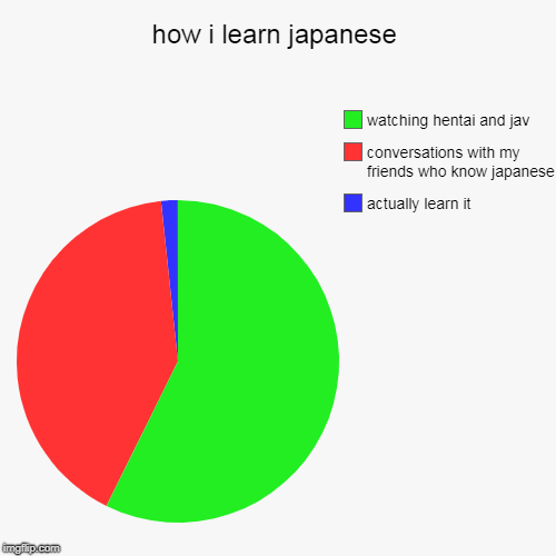 how i learn japanese | actually learn it, conversations with my friends who know japanese, watching hentai and jav | image tagged in funny,pie charts | made w/ Imgflip chart maker