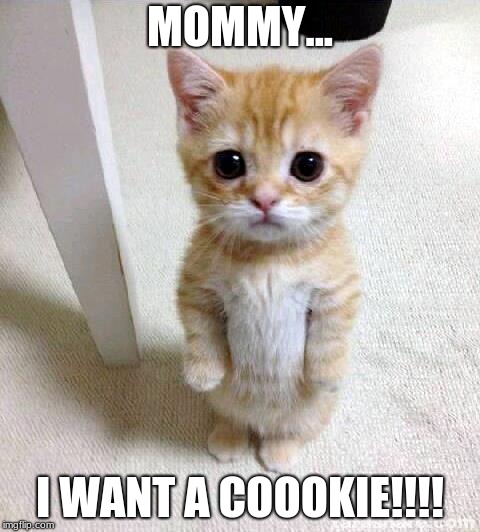 Cute Cat Meme | MOMMY... I WANT A COOOKIE!!!! | image tagged in memes,cute cat | made w/ Imgflip meme maker