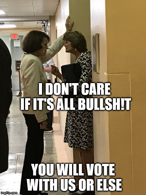 I DON'T CARE IF IT'S ALL BULLSH!T; YOU WILL VOTE WITH US OR ELSE | image tagged in vote,threat | made w/ Imgflip meme maker