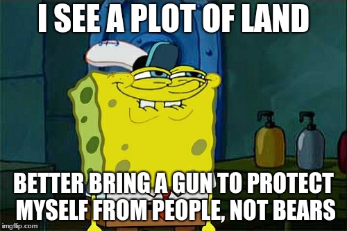 Don't You Squidward Meme | I SEE A PLOT OF LAND; BETTER BRING A GUN TO PROTECT MYSELF FROM PEOPLE, NOT BEARS | image tagged in memes,dont you squidward | made w/ Imgflip meme maker