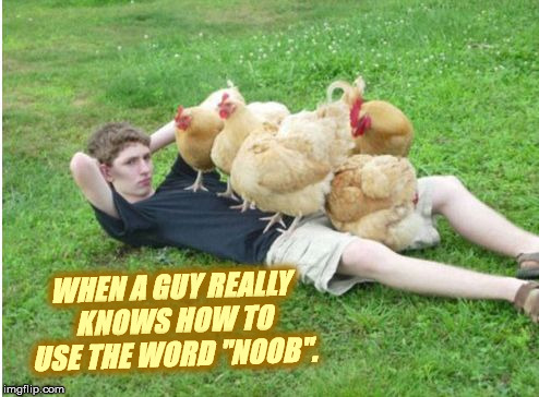 Chick magnet  | WHEN A GUY REALLY KNOWS HOW TO USE THE WORD "NOOB". | image tagged in chick magnet | made w/ Imgflip meme maker