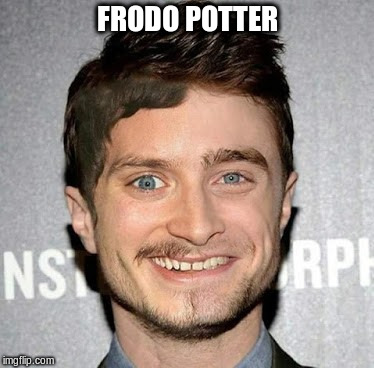 frodo poter | FRODO POTTER | image tagged in frodo,harry potter,mix | made w/ Imgflip meme maker