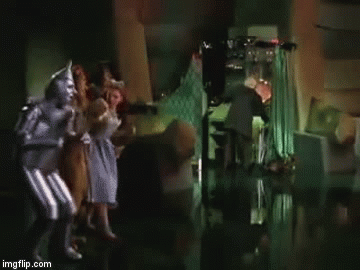 "Pay no attention to that idiot behind the GIF machine!" | image tagged in gifs | made w/ Imgflip video-to-gif maker