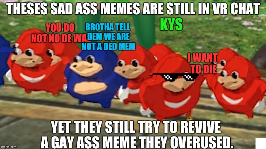 de wae is a ded mem | THESES SAD ASS MEMES ARE STILL IN VR CHAT; KYS; BROTHA TELL DEM WE ARE NOT A DED MEM; YOU DO NOT NO DE WAE; I WANT TO DIE; YET THEY STILL TRY TO REVIVE A GAY ASS MEME THEY OVERUSED. | image tagged in ded mem,meme,vr chat is bad,they tried,low life knuckle webs | made w/ Imgflip meme maker