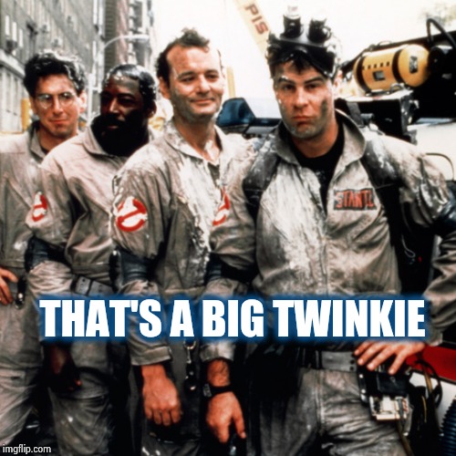 Ghostbusters  | THAT'S A BIG TWINKIE | image tagged in ghostbusters | made w/ Imgflip meme maker