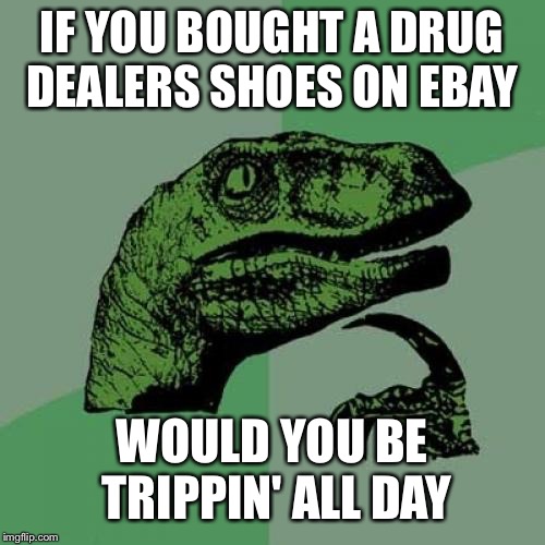 Philosoraptor | IF YOU BOUGHT A DRUG DEALERS SHOES ON EBAY; WOULD YOU BE TRIPPIN' ALL DAY | image tagged in memes,philosoraptor | made w/ Imgflip meme maker