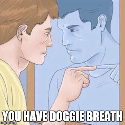 Pointing mirror guy | YOU HAVE DOGGIE BREATH | image tagged in pointing mirror guy | made w/ Imgflip meme maker