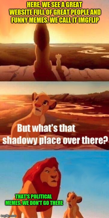 Believe it or not, not all of us are even involved in American politics. | HERE, WE SEE A GREAT WEBSITE FULL OF GREAT PEOPLE AND FUNNY MEMES. WE CALL IT IMGFLIP; THAT'S POLITICAL MEMES, WE DON'T GO THERE | image tagged in memes,simba shadowy place | made w/ Imgflip meme maker
