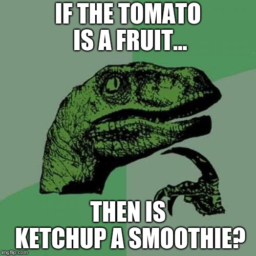Philosoraptor Meme | IF THE TOMATO IS A FRUIT... THEN IS KETCHUP A SMOOTHIE? | image tagged in memes,philosoraptor | made w/ Imgflip meme maker