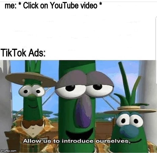 Allow us to introduce ourselves | me: * Click on YouTube video *; TikTok Ads: | image tagged in allow us to introduce ourselves | made w/ Imgflip meme maker