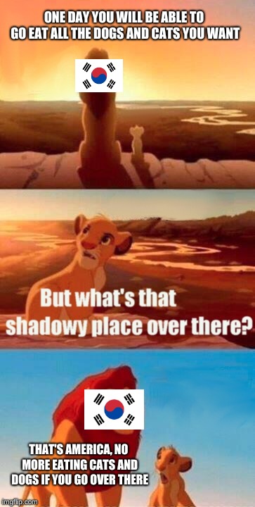 Simba Shadowy Place Meme | ONE DAY YOU WILL BE ABLE TO GO EAT ALL THE DOGS AND CATS YOU WANT; THAT'S AMERICA, NO MORE EATING CATS AND DOGS IF YOU GO OVER THERE | image tagged in memes,simba shadowy place | made w/ Imgflip meme maker