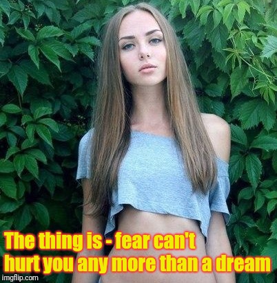 The thing is - fear can't hurt you any more than a dream | made w/ Imgflip meme maker