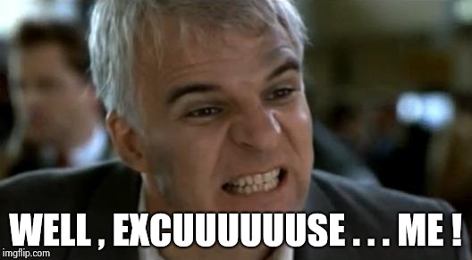 steve martin mad | WELL , EXCUUUUUUSE . . . ME ! | image tagged in steve martin mad | made w/ Imgflip meme maker