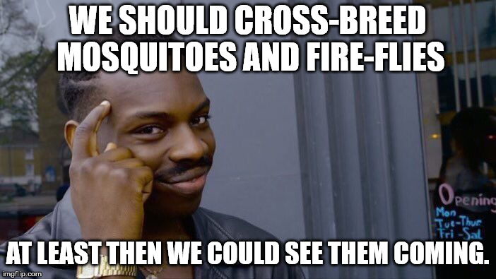 Roll Safe Think About It Meme | WE SHOULD CROSS-BREED MOSQUITOES AND FIRE-FLIES; AT LEAST THEN WE COULD SEE THEM COMING. | image tagged in memes,roll safe think about it | made w/ Imgflip meme maker