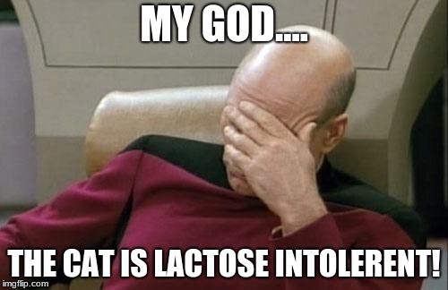 Captain Picard Facepalm | MY GOD.... THE CAT IS LACTOSE INTOLERENT! | image tagged in memes,captain picard facepalm | made w/ Imgflip meme maker