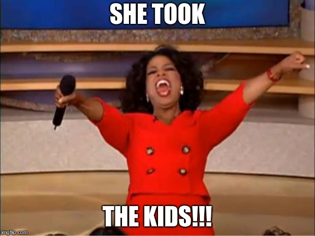 Oprah You Get A | SHE TOOK; THE KIDS!!! | image tagged in memes,oprah you get a | made w/ Imgflip meme maker