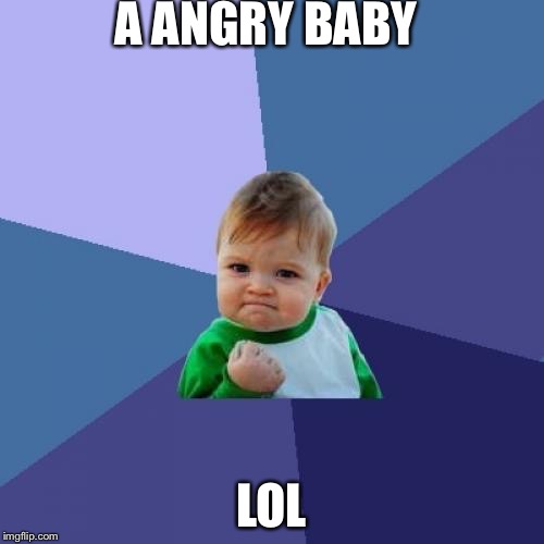 Success Kid Meme | A ANGRY BABY; LOL | image tagged in memes,success kid | made w/ Imgflip meme maker