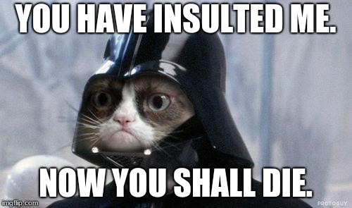 Grumpy Cat Star Wars Meme | YOU HAVE INSULTED ME. NOW YOU SHALL DIE. | image tagged in memes,grumpy cat star wars,grumpy cat | made w/ Imgflip meme maker