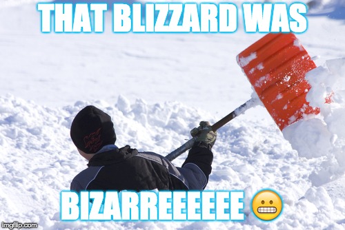 Blizzard | THAT BLIZZARD WAS; BIZARREEEEEE 😬 | image tagged in blizzard | made w/ Imgflip meme maker