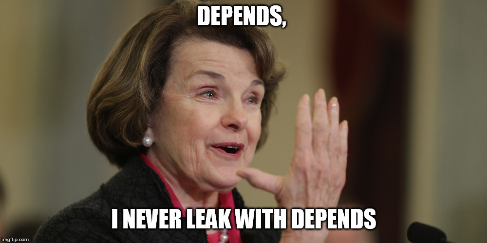 Diane Feinstein | DEPENDS, I NEVER LEAK WITH DEPENDS | image tagged in diane feinstein | made w/ Imgflip meme maker