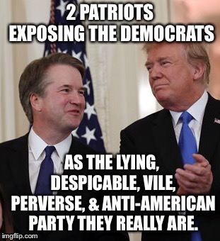 the Left keeps going lower and lower folks.   | . | image tagged in maga | made w/ Imgflip meme maker