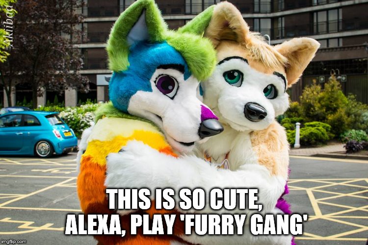 I have nothing, TBH | THIS IS SO CUTE, ALEXA, PLAY 'FURRY GANG' | image tagged in memes,furry,cute,hug,alexa | made w/ Imgflip meme maker