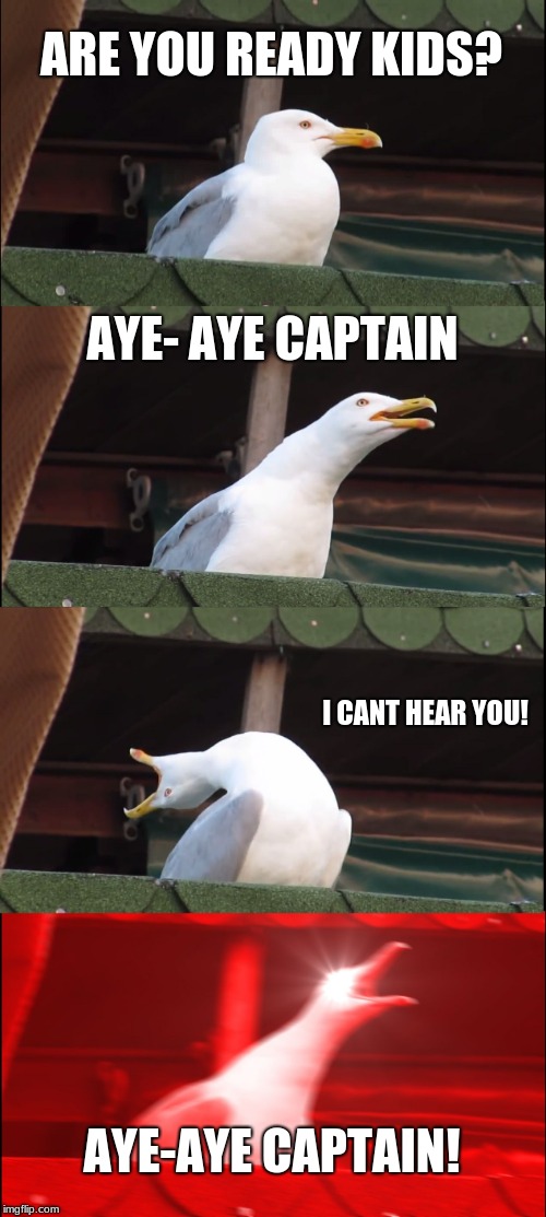 Inhaling Seagull | ARE YOU READY KIDS? AYE-
AYE CAPTAIN; I CANT HEAR YOU! AYE-AYE CAPTAIN! | image tagged in memes,inhaling seagull | made w/ Imgflip meme maker