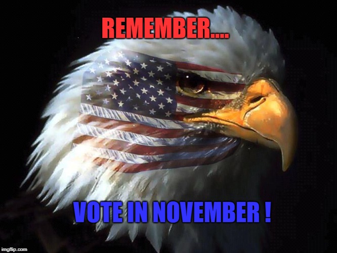 REMEMBER...VOTE IN NOVEMBER! | REMEMBER.... VOTE IN NOVEMBER ! | image tagged in vote,november | made w/ Imgflip meme maker