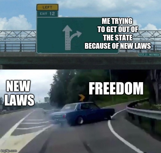 Left Exit 12 Off Ramp Meme | ME TRYING TO GET OUT OF THE STATE BECAUSE OF NEW LAWS; NEW LAWS; FREEDOM | image tagged in memes,left exit 12 off ramp | made w/ Imgflip meme maker