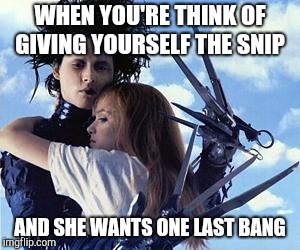 Free Hugs from Edward Scissorhands | WHEN YOU'RE THINK OF GIVING YOURSELF THE SNIP; AND SHE WANTS ONE LAST BANG | image tagged in free hugs from edward scissorhands | made w/ Imgflip meme maker