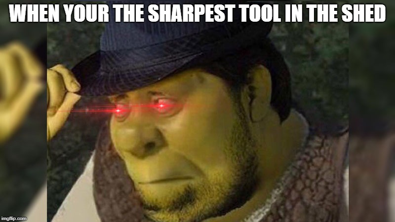 WHEN YOUR THE SHARPEST TOOL IN THE SHED | image tagged in shrek | made w/ Imgflip meme maker