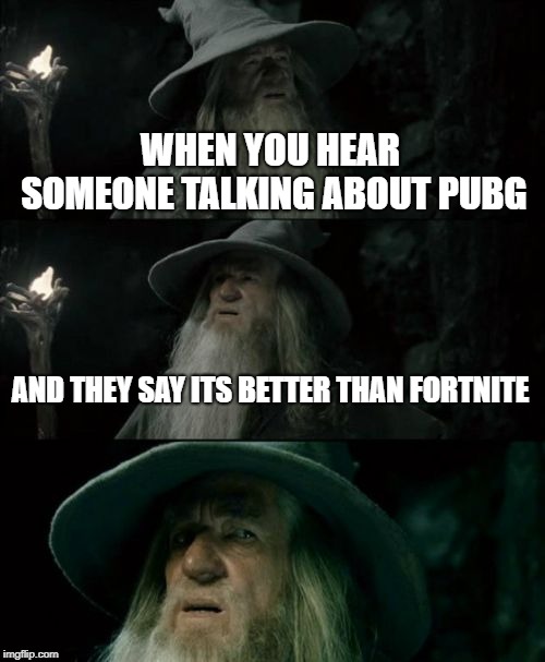 Confused Gandalf | WHEN YOU HEAR SOMEONE TALKING ABOUT PUBG; AND THEY SAY ITS BETTER THAN FORTNITE | image tagged in memes,confused gandalf | made w/ Imgflip meme maker