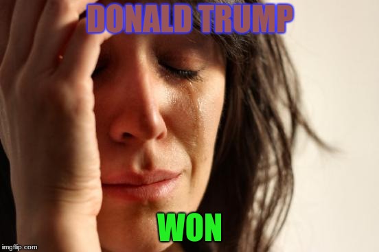 First World Problems | DONALD TRUMP; WON | image tagged in memes,first world problems | made w/ Imgflip meme maker