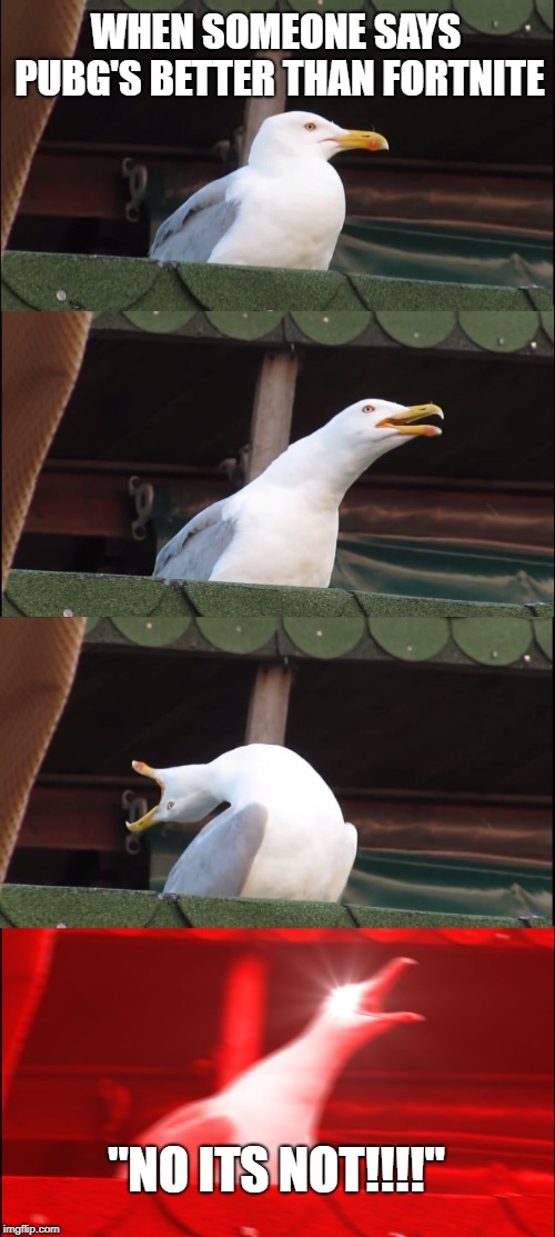 Inhaling Seagull | WHEN SOMEONE SAYS PUBG'S BETTER THAN FORTNITE; "NO ITS NOT!!!!" | image tagged in memes,inhaling seagull | made w/ Imgflip meme maker