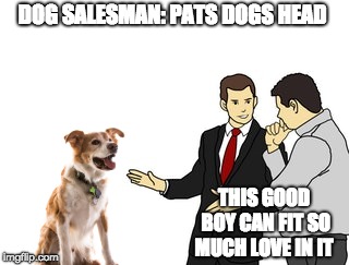 DOG SALESMAN: PATS DOGS HEAD; THIS GOOD BOY CAN FIT SO MUCH LOVE IN IT | image tagged in good boy,dog,car,memes,funny memes,use someones username in your meme | made w/ Imgflip meme maker