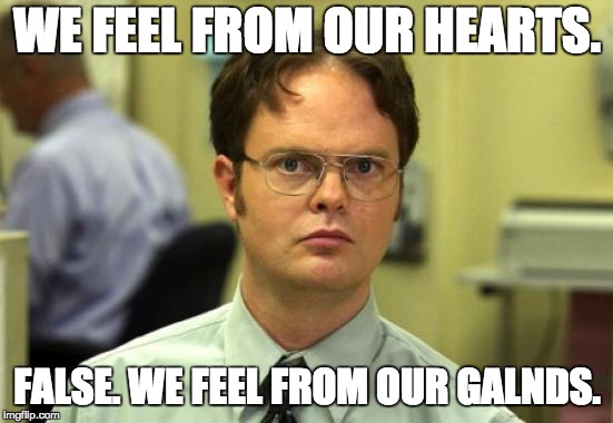 Dwight Schrute Meme | WE FEEL FROM OUR HEARTS. FALSE. WE FEEL FROM OUR GALNDS. | image tagged in memes,dwight schrute | made w/ Imgflip meme maker