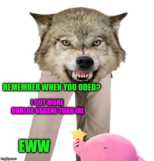Wolfpants the Great | I GOT MORE ROBLOX VAGENE THAN IRL REMEMBER WHEN YOU ODED? EWW | image tagged in wolfpants the great | made w/ Imgflip meme maker