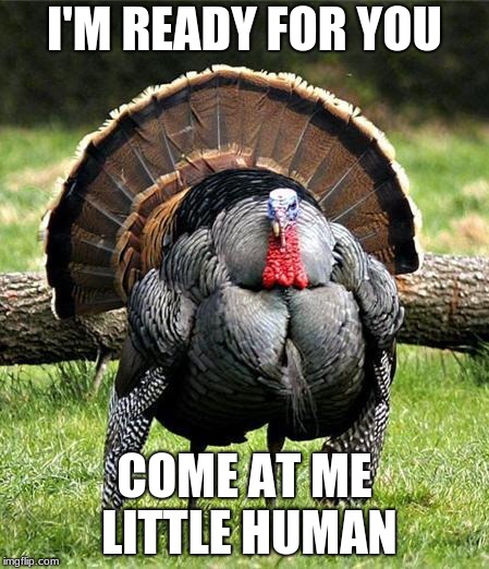 Read it as Arnold Schwarzenegger | I'M READY FOR YOU; COME AT ME LITTLE HUMAN | image tagged in thanksgiving day | made w/ Imgflip meme maker